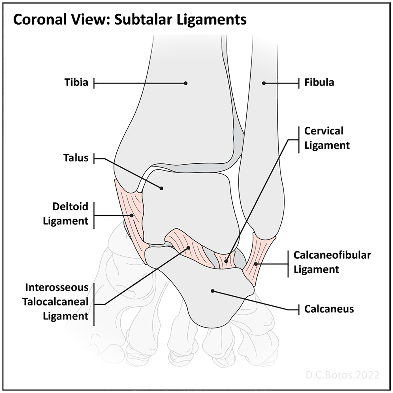 Fig. 18