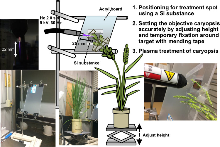 Fig. 3