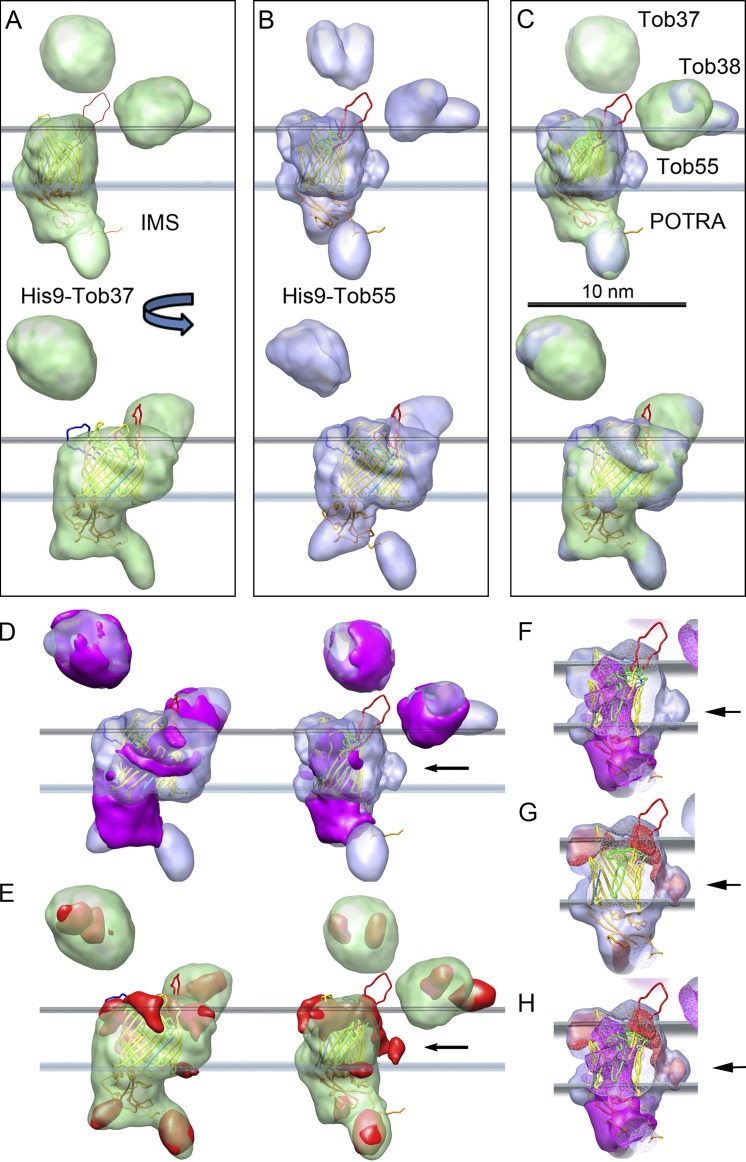 Figure 7.