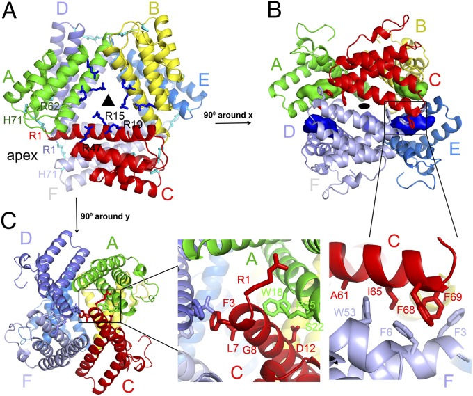 Fig. 2.