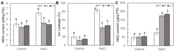 Figure 7