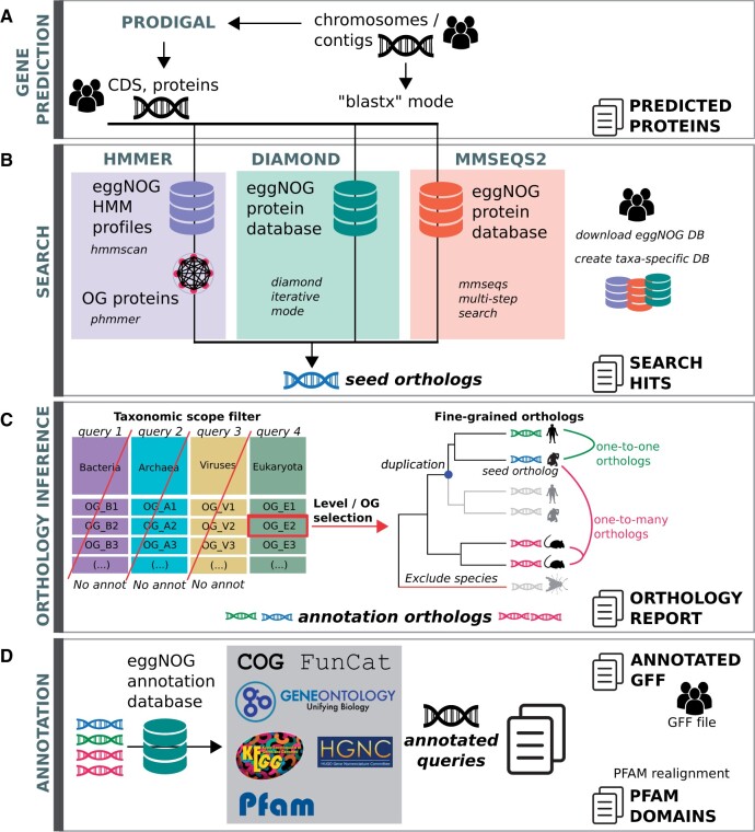 eggNOG-mapper v2: Functional Annotation, Orthology Assignments, and ...