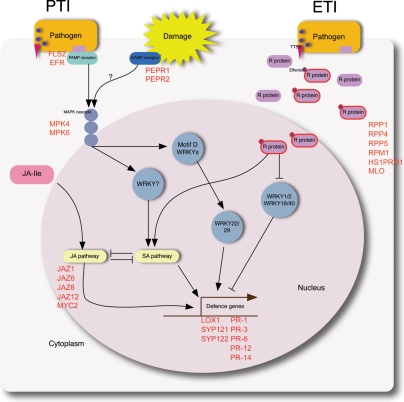 Figure 4.