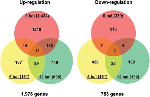 Figure 2.