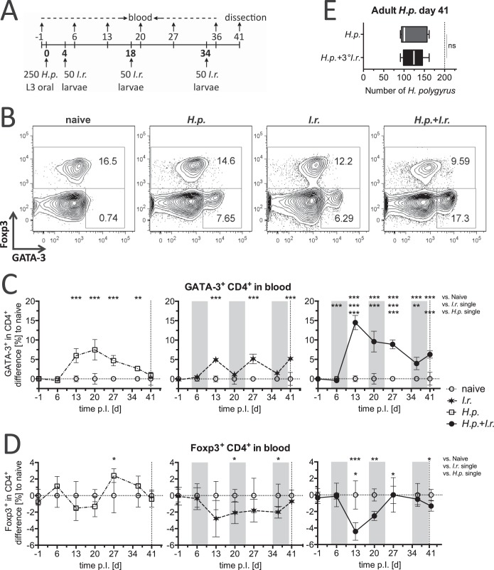 FIG 3