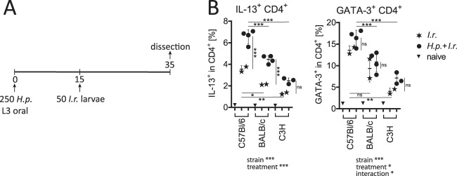 FIG 2