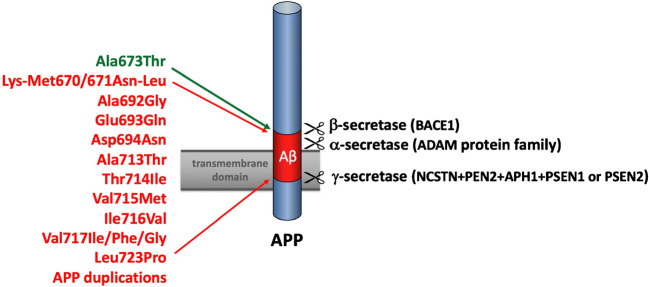 Fig. 1