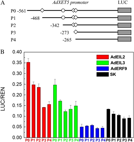 Figure 6.