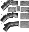 FIG. 3.