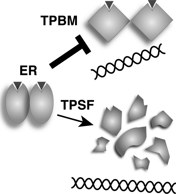 FIGURE 10.