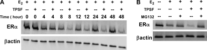 FIGURE 9.