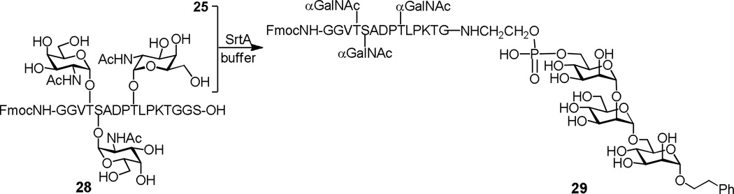 Scheme 12