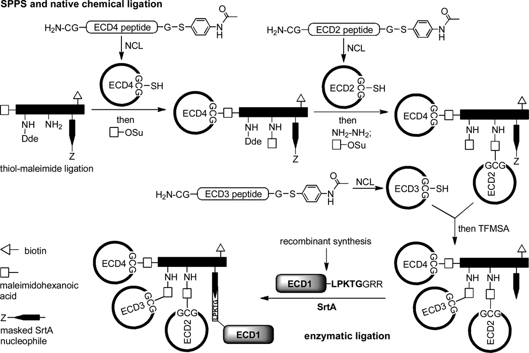 Scheme 129