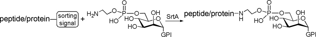 Scheme 10