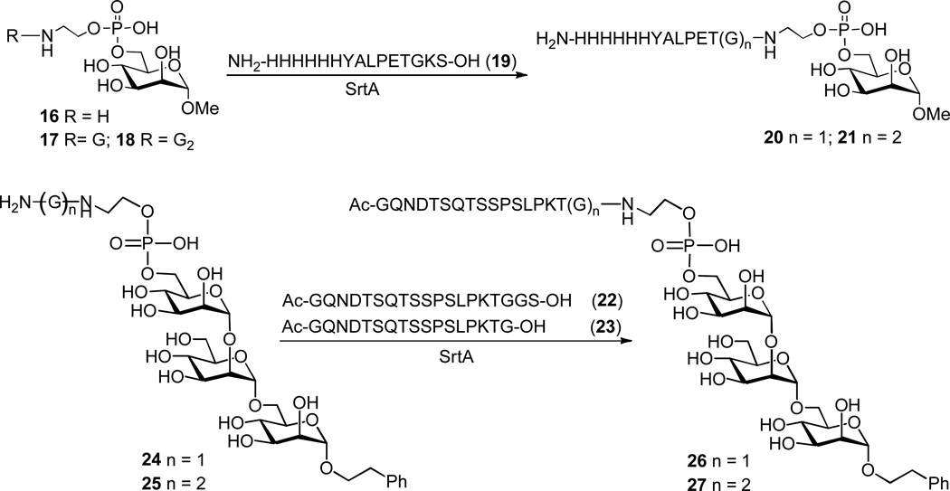 Scheme 11