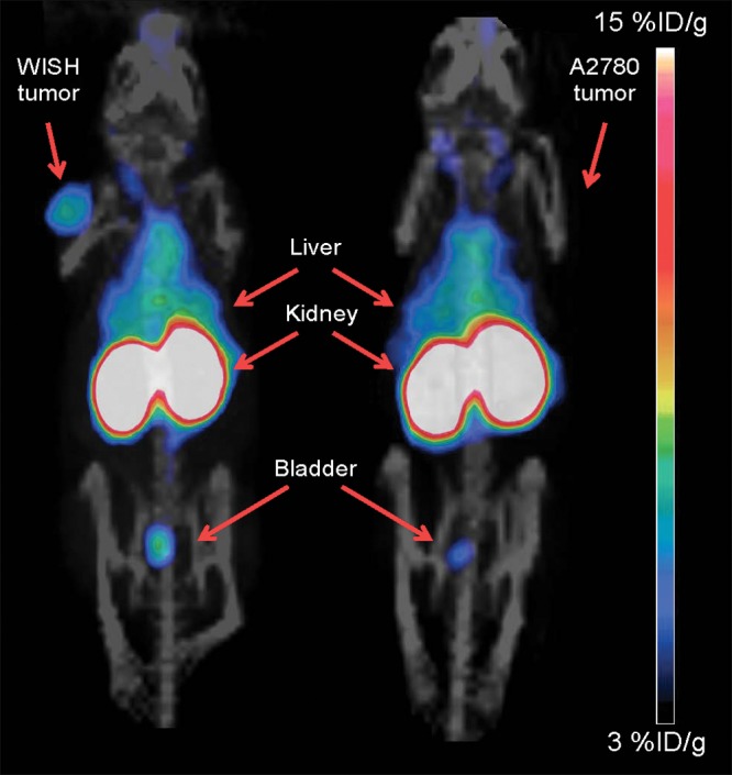 Figure 3: