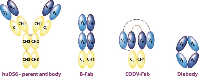 Figure 1: