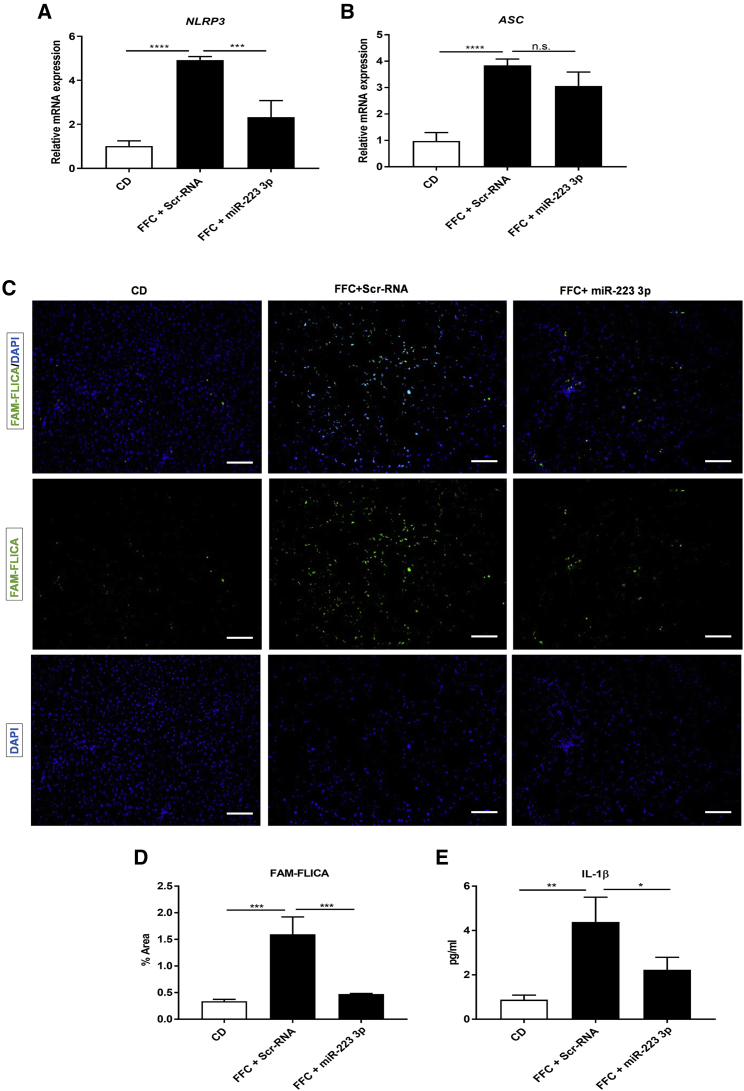 Figure 6