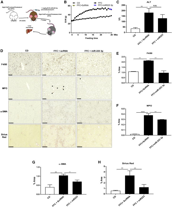 Figure 5