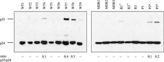 FIG. 4.