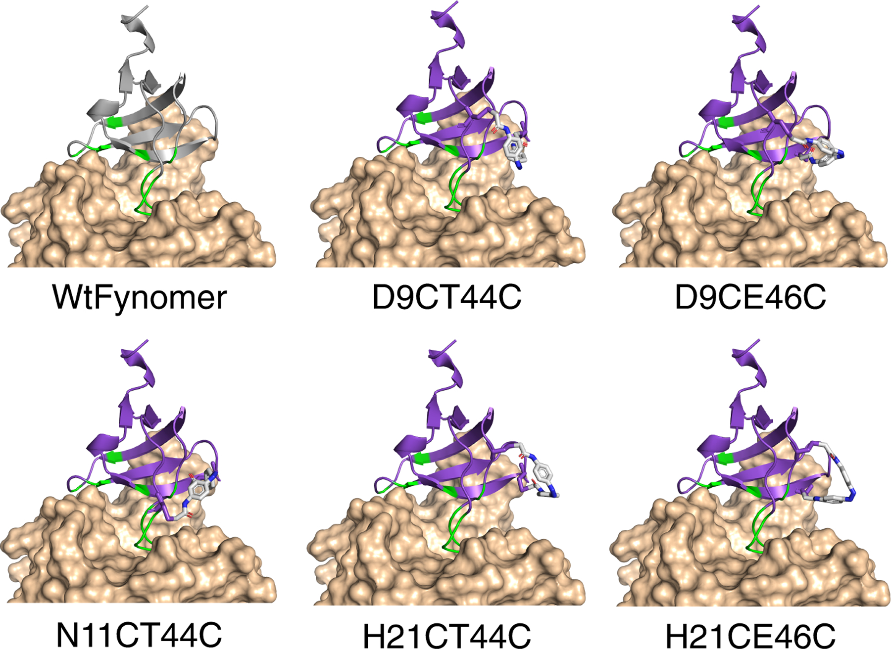 Figure 2.