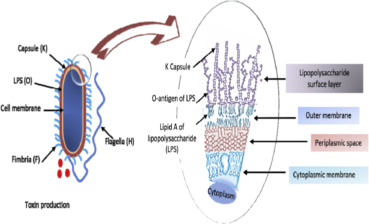 Figure 2