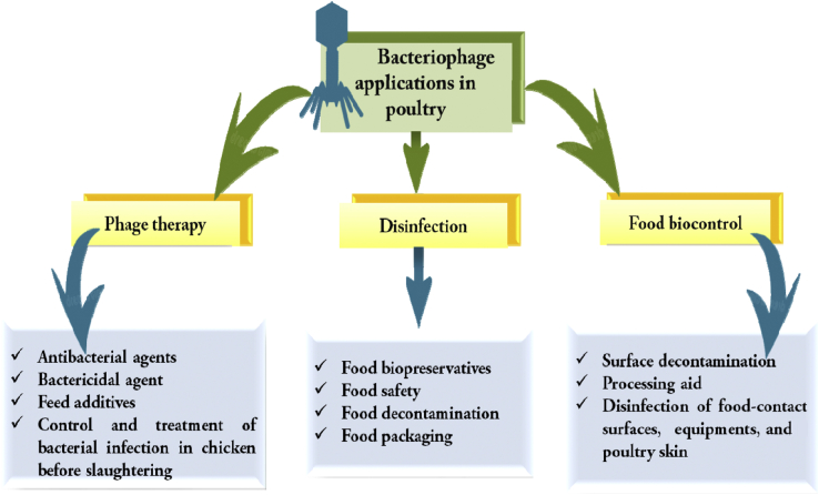 Figure 3