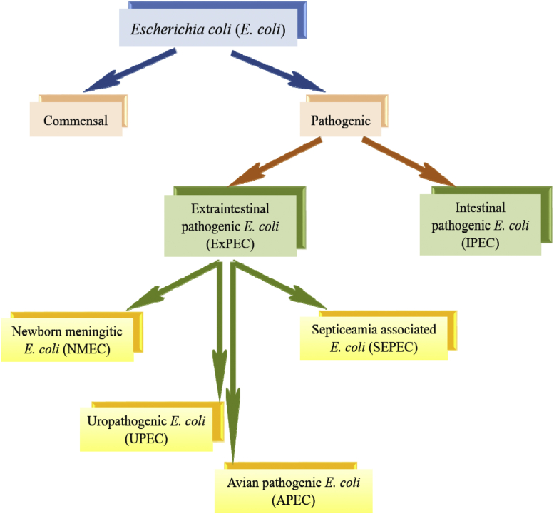 Figure 1