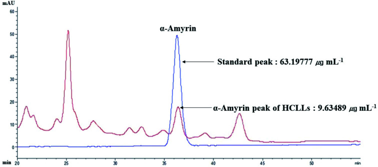 Fig. 12