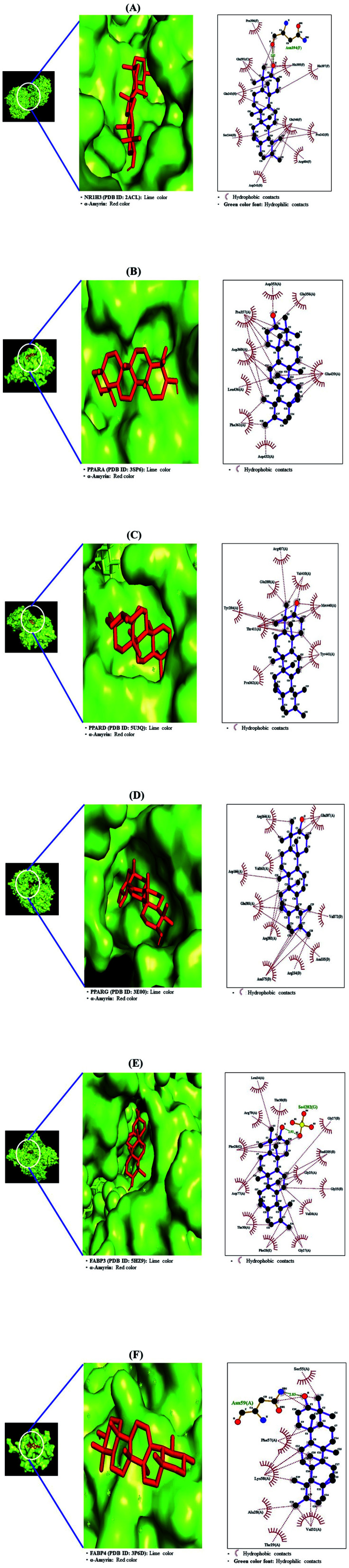 Fig. 10