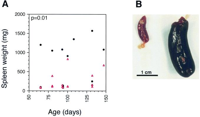 FIG. 5