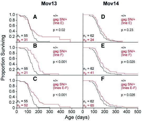 FIG. 7