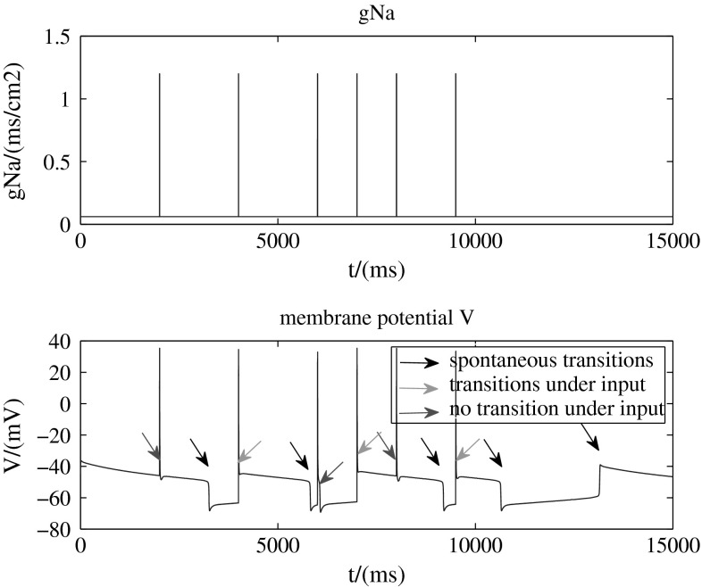 Fig. 7