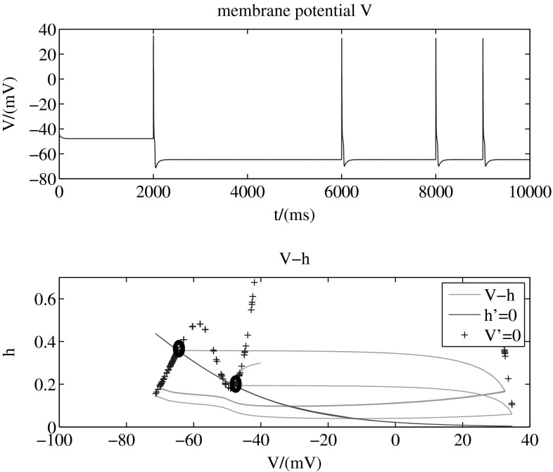 Fig. 5