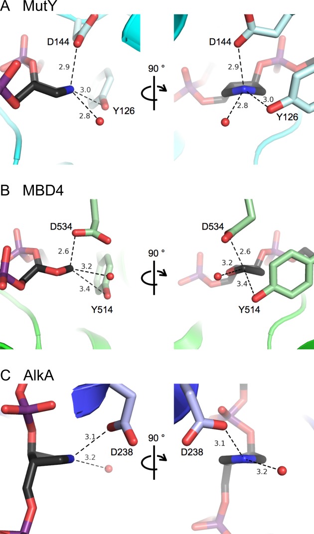 Figure 6.