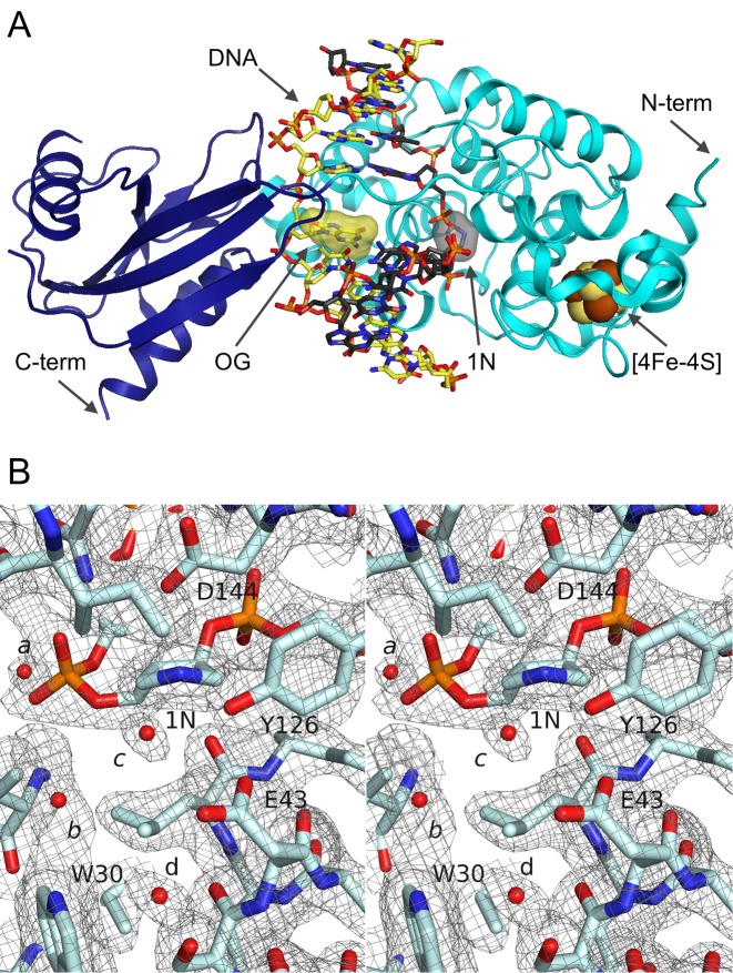 Figure 2.