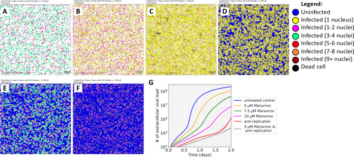 Figure 5: