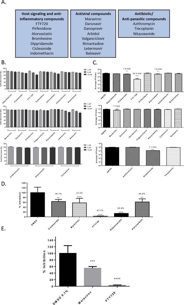 Figure 1 –