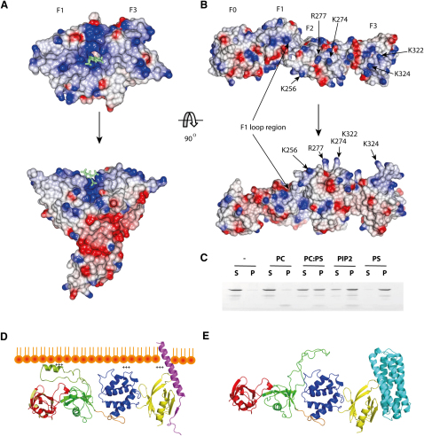 Figure 4