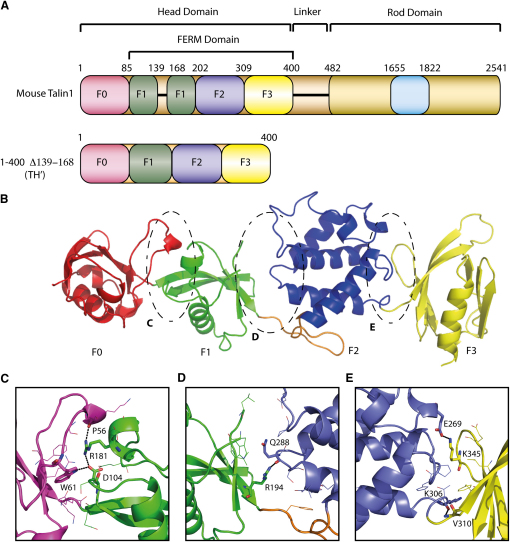 Figure 1