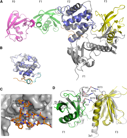 Figure 3