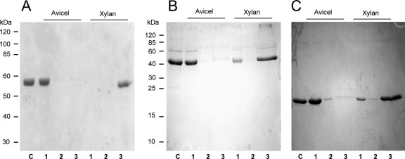 Fig 5