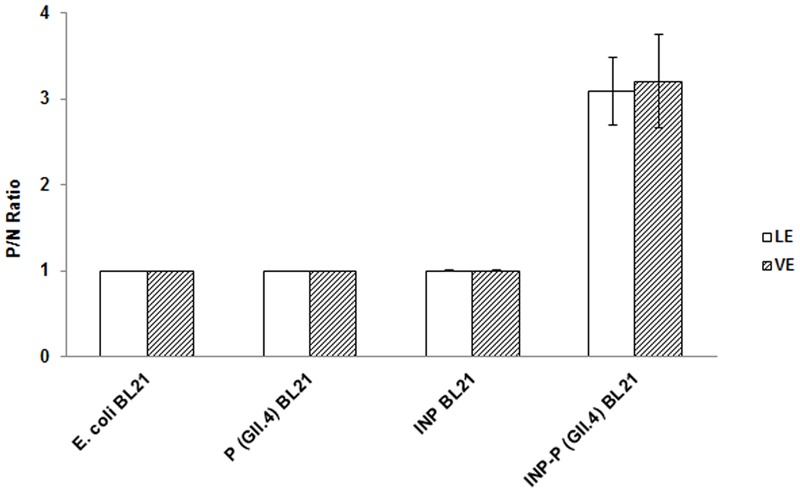 FIGURE 4