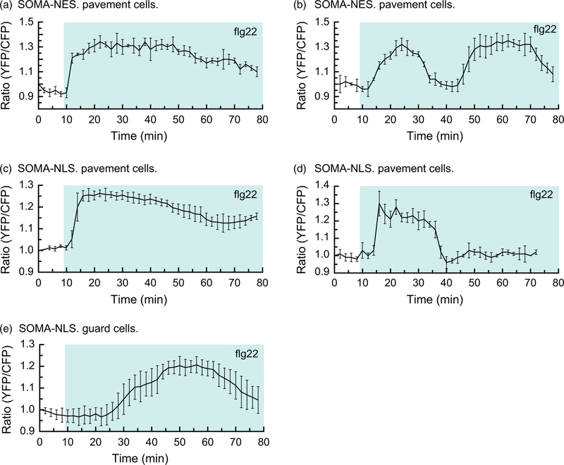 Figure 4.