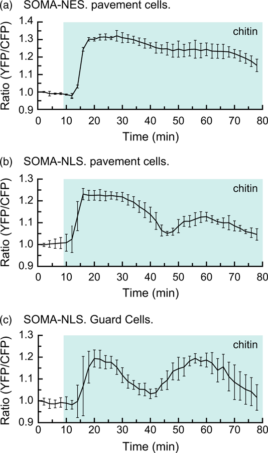 Figure 5.