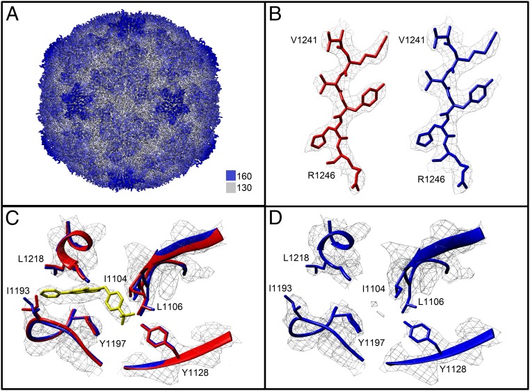 Fig. 3.