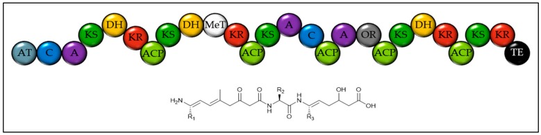 Figure 5