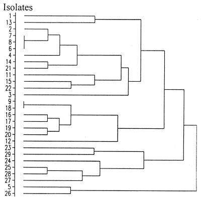 FIG. 1