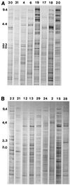 FIG. 4