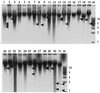 FIG. 7